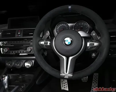 3D Design Dry Carbon Fiber Silver Shift Paddle Set BMW X5M F85 | X6M F86 | M2 F87 | M3 F80 | M4 F82 | M5 F10 | M6 F06 | F12 | F13 2012-2023 - 6101-00312