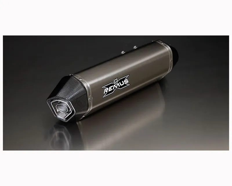 Remus Hexacone Titanium Slip-On w/ Heat Shield BMW Motorrad R1200GS 2013-2014 - 4882 088013