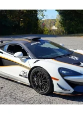AP Racing Essex Front CP9669-2/3S4L 6 pot 394x34/84V Radi-CAL ENP Competition Brake Kit McLaren 620R 2021+                                     - 13.01.10180-ENP - Image 13