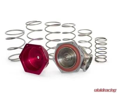 Garrett GVW-40 | GVW-45 | GVW-50 Blue Spring Valve - 898344-0002