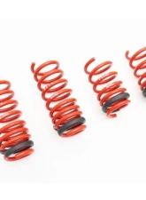 Megan Racing Lowering Springs Audi R8 V10 Only 2017+                                     - MR-LS-AR817 - Image 2