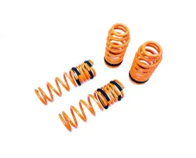 Megan Racing Lowering Springs Acura TL 2009-2014