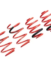 Megan Racing Lowering Springs BMW Z4 E89 2009-2016                                     - MR-LS-BE89 - Image 2