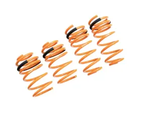 Megan Racing Lowering Springs Chevrolet Camaro 2012-2015