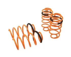 Megan Racing Lowering Springs Chevrolet Sonic 2012-2014