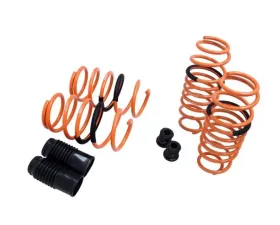 Megan Racing Lowering Springs Dodge Dart 2013+