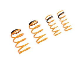 Megan Racing Lowering Springs Ford Focus 2005-2011