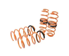 Megan Racing Lowering Springs Ford Fiesta 2011-2016