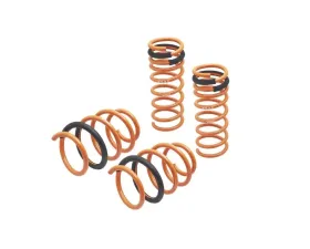 Megan Racing Lowering Springs Ford Focus ST 2013-2018