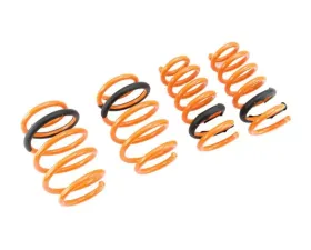 Megan Racing Lower Spring Ford Flex 2009+
