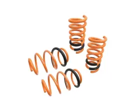 Megan Racing Lowering Springs Ford Mustang 2015+