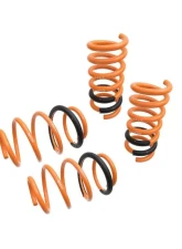 Megan Racing Lowering Springs Ford Mustang 2015+                                     - MR-LS-FM15 - Image 3