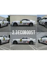 Megan Racing Lowering Springs Ford Mustang 2015+                                     - MR-LS-FM15 - Image 3