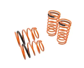 Megan Racing Lowering Springs Ford Escort | ZX2 1997-2002
