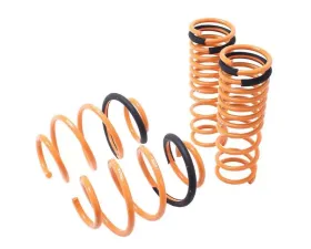 Megan Racing Lowering Spring Honda Accord 2013-2017