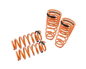 Megan Racing Lowering Springs Honda Accord 1998-2002