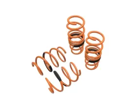Megan Racing Lowering Springs Honda Civic 2016-2021