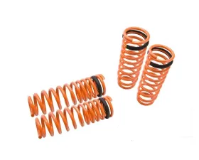 Megan Racing Lowering Springs Honda Civic | Acura Integra 1992-2001