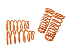 Megan Racing Lowering Springs Kia Rio 2000-2005