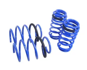 Megan Racing Lower Spring Lexus CT200H 2011+