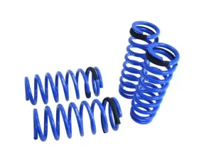Megan Racing Lower Spring Lexus GS 350 2013+
