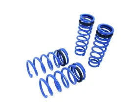 Megan Racing Lowering Spring Lexus IS250 | IS350 2014+