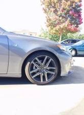 Megan Racing Lowering Spring Lexus IS250 | IS350 2014+                                     - MR-LS-LI14 - Image 2