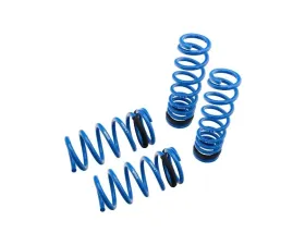 Megan Racing Lowering Spring RWD Lexus RC350 2015+