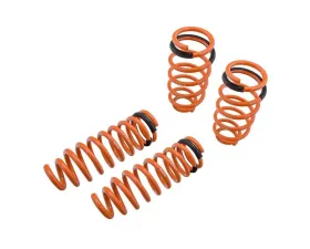 Megan Racing Lowering Spring Mazda 6 v6 2003-2008