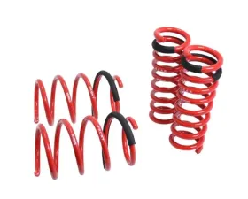 Megan Racing Lower Spring Mercedes Benz C-Class 2008-2014