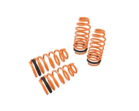 Megan Racing Lowering Springs Mitsubishi Eclipse 1995-1999