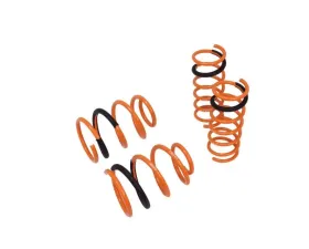 Megan Racing Lowering Springs Mazda 3 2010-2013