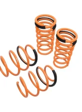 Megan Racing Lowering Springs Nissan Altima Sedan | Coupe 2007-2013                                     - MR-LS-NA07L4 - Image 4