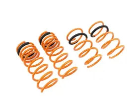 Megan Racing Lower Spring 4-Cylinder Only Nissan Altima 2013-2018
