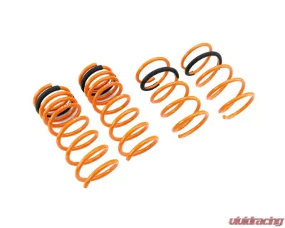 Megan Racing Lower Spring 4-Cylinder Only Nissan Altima 2013-2018 - MR-LS-NA13