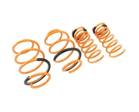 Megan Racing Lower Spring Nissan Maxima 2009-2014