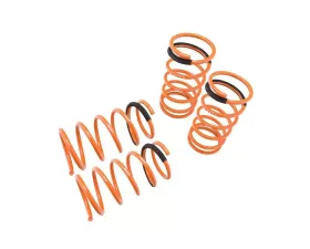 Megan Racing Lowering Springs Nissan Sentra 1989-1994