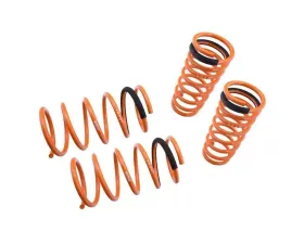 Megan Racing Lowering Springs Nissan Sentra 1995-1999