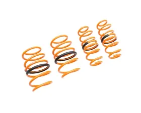 Megan Racing Lowering Spring Toyota Corolla Sedan 2020+