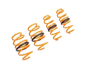 Megan Racing Lowering Spring Toyota Corolla Hatchback 2019+ EXC Sedan