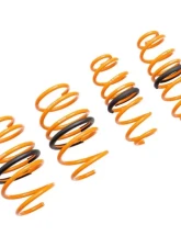 Megan Racing Lowering Spring Toyota Corolla Hatchback 2019+ EXC Sedan                                     - MR-LS-TCO19H - Image 2