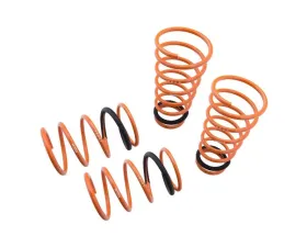 Megan Racing Lowering Springs Toyota Corolla 1993-1997