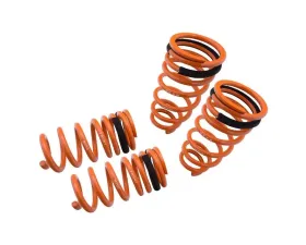 Megan Racing Lower Spring Toyota Supra 1993-1998