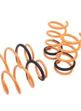 Megan Racing Lowering Springs FWD Toyota Sienna 2011-2020                                     - MR-LS-TSE11-V2 - Image 4