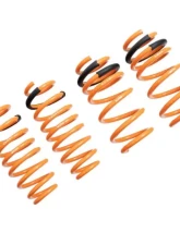Megan Racing Lowering Springs RWD Tesla Model 3 2017+                                     - MR-LS-TSL17 - Image 2