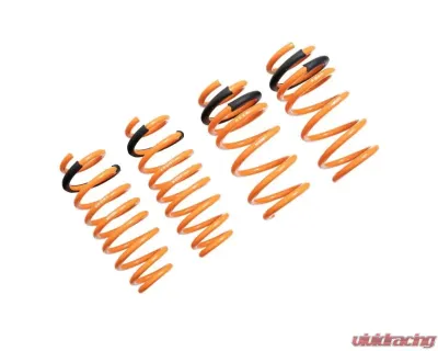 Megan Racing Lowering Springs RWD Tesla Model 3 2017+ - MR-LS-TSL17