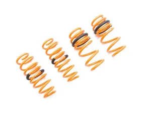 Megan Racing Lowering Springs Tesla Model 3 AWD 2017+