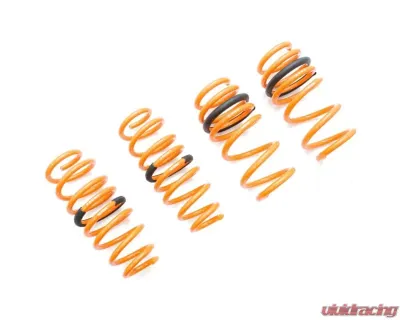 Megan Racing Lowering Springs Tesla Model 3 AWD 2017+ - MR-LS-TSL317X
