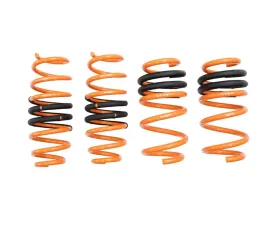 Megan Racing Lowering Springs Tesla Model Y AWD 2019+