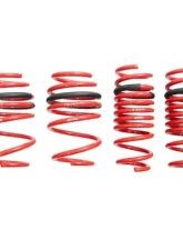 Megan Racing Lowering Springs BMW X3M | X4M 2019+                                     - MR-LS-BF98X - Image 3